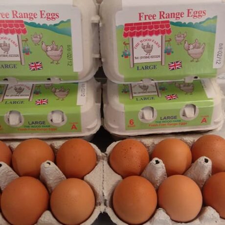 Free Range Eggs