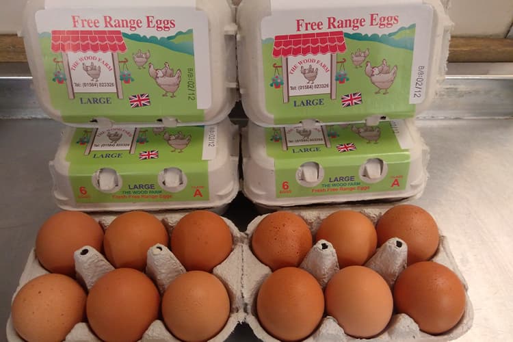 Free Range Eggs