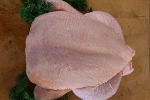 Large Chicken