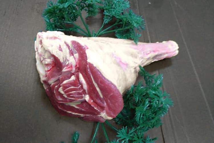 Shank Lamb